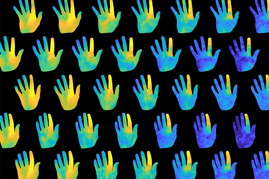 Biomechanical Filtering Supports Efficient Tactile Encoding in the Human Hand