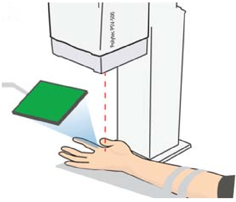 Cutaneous Wave Propagation Shapes Tactile Motion: Evidence from Air-Coupled Ultrasound